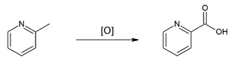 oxidation by potassium permanganate affords picolinic acid